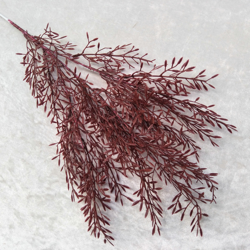 Erba di grano di riso n. 2 rosso