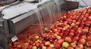 12000 Bph Automatische Mango Kokosnuss Ananas Fruchtsaft Getränke Produktions linie Saft herstellungs maschine - Product Image 2