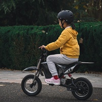 Oem 300W 36V5.2AH Vélo tout-terrain pour enfants 15 Mph High Range Small Ipx4 Road Legal Kids Electric Mini Motorcycle