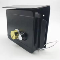 Serrure de porte principale extérieure de sécurité intelligente interphone sans clé contrôle d'accès 12V serrure de jante de porte électrique à Double cylindre avec housse de pluie