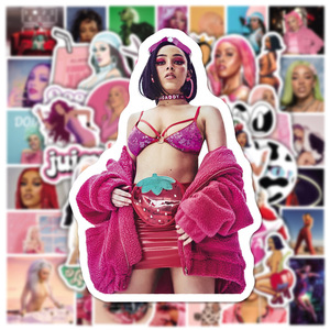 Pegatinas Reutilizables de la Cantante <span class=keywords><strong>Adele</strong></span> para Botellas, Portátiles, Decorativas, Gran Venta 2022, Pegatinas Sexys de Doja Cat, 50 Unidades - Product Image 6
