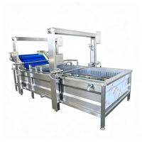 Automatische Lifting Type Luchtbellenwasmachine SUS304 Fruit- en Groentebellenreiniger voor voedselverwerkingslijnen