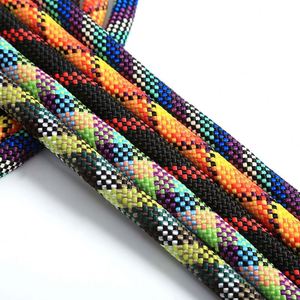 Wholesale Fashion Durable Polyester 8mm 10mm PP <b>Thick</b> <b>Rope</b> Dog Leash Braided <b>Rope</b> for Pet Leash Bag Handle - Product Image 1