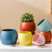 Vente en gros Cactus Succulent Pots de fleurs modernes Mini jardinière intérieure ronde en céramique Pots de jardin avec plateau