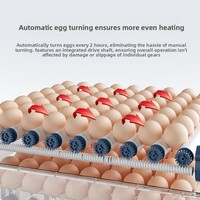 Incubateur d'œufs numérique automatique mini en gros pour poulets, canards, oies, cailles, pigeons – Idéal pour la ferme et la maison