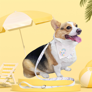 Personal isierte niedliche Regenbogen Druck Designer Farbkontrast Hund Bandana Hunde geschirr Halsband und Leine Set mit benutzer definierten Druck - Product Image 2