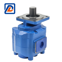 Hydraulische Zahnradpumpe für Radlader 50F 50G 60F 60G 50D 952 Gusseisen OEM ODM Ein Jahr Garantie