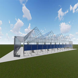 Serre agricole Venlo Verre Serre agricole <span class=keywords><strong>ombre</strong></span> serre pour plantes/<span class=keywords><strong>l</strong></span>égumes/fleurs - Product Image 3