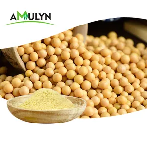 Food Grade Emulsifier E322 Soybean Extract Soy Lecithin Powder 95%