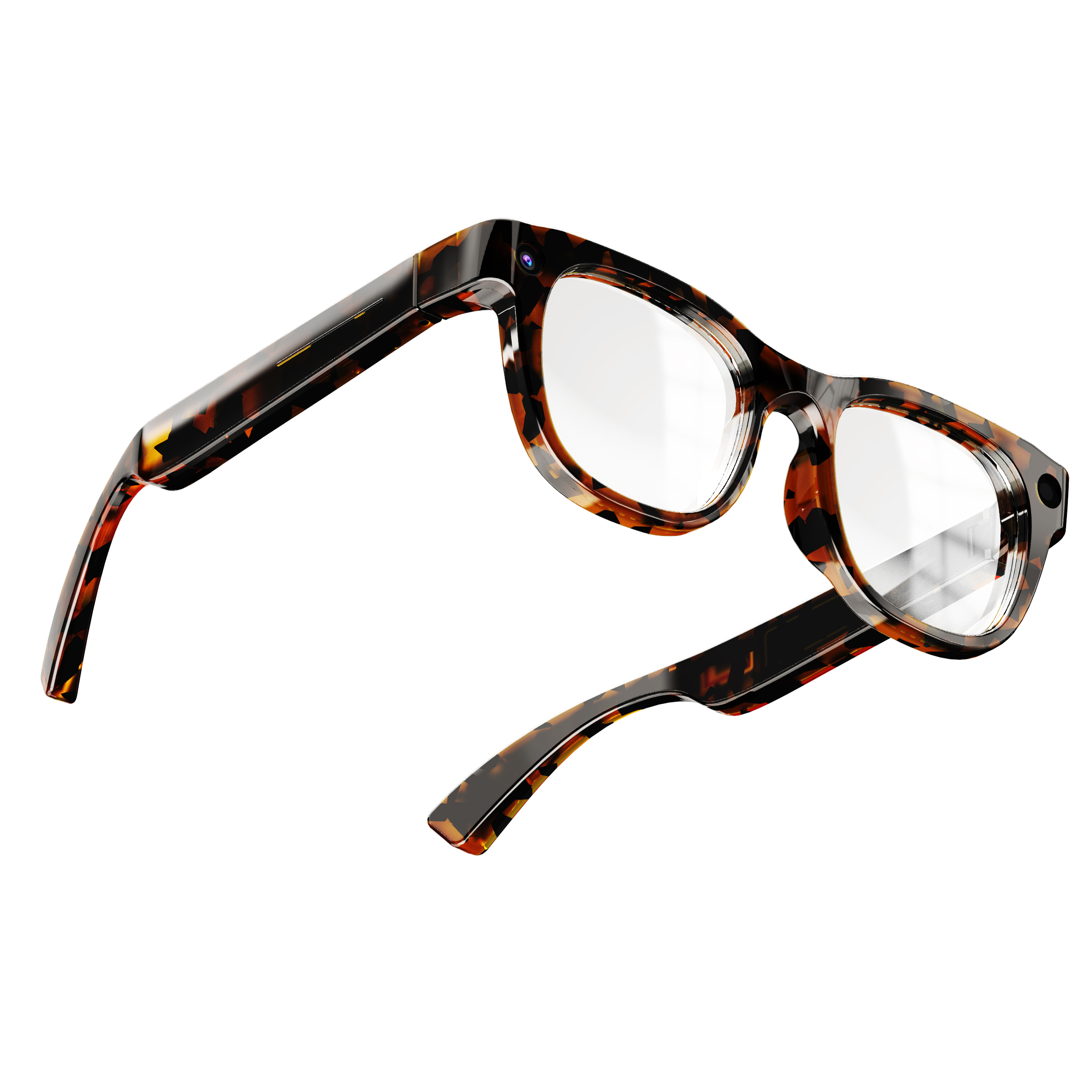 caparazón de tortuga