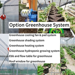 Nông nghiệp/thương mại xây dựng Polycarbonate nhà kính với khí hậu kiểm soát cho toàn bộ cà chua Farming - Product Image 6