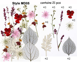 ดอกไม้แห้งอัดเม็ดหลากสีสันสำหรับงานสมุดภาพ การทำการ์ด และงานฝีมือ ตกแต่งเคสมือถือ กรอบรูป - Product Image 3