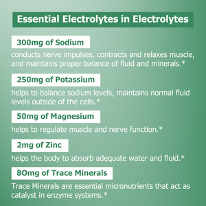 Poudre d'électrolytes sans sucre, saveur pastèque, la plus vendue, pour l'hydratation et le soutien électrolytique – Boisson électrolytique en poudre - Product Image 5