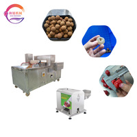 Industriële & tafelmodel kersenontpitter, fruitontpitter voor kersen, longan, Phyllanthus Emblica fruitontpitting en -verwerking