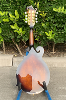 Mandoline de style F de la marque chinoise Aiersi, fabriquée à la main, vintage, Sunburst Bluegrass, acoustique, archtop, 8 cordes en acier, logo personnalisé