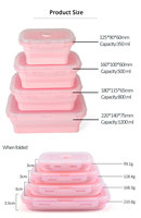 4 In 1 Draagbare Outdoor Opvouwbare Siliconen Lunchbox Set Hittebestendige Voedsel Crisper Opslag Voor Reizen Kantoor Siliconen Doos