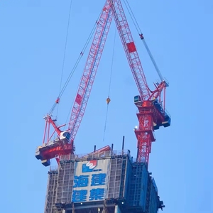 12T Luffing Cẩu Tháp D160-5030 Với 50M Bùng Nổ Chiều Dài Nhà Máy Bán Hàng Trực Tiếp Cẩu Tháp - Product Image 4
