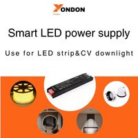 Tuya ZigBee Controladores inteligentes regulables y CCT DIM y sintonizable blanco Bluetooth malla voltaje constante 24V