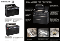 Barbecue au gaz Chromaflame en acier inoxydable, 6 brûleurs, avec protection de sécurité pour cuisine extérieure et usage domestique