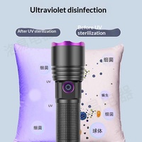 Lampe UV 20W 365 nm en alliage d'aluminium rechargeable par USB pour détection d'animaux, identification anti-contrefaçon et filtre lumière noire