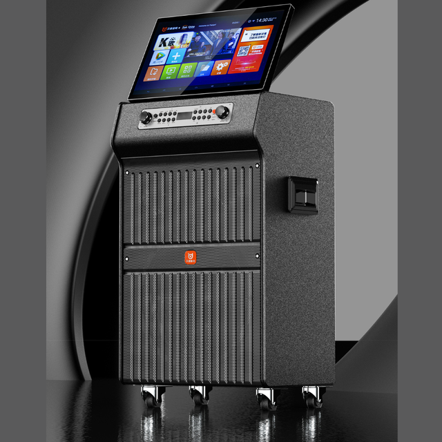 Wireless 15.4 Inch Screen Karaoke Speaker with Bluetooth, High Power PA System for Outdoor and Indoor Events