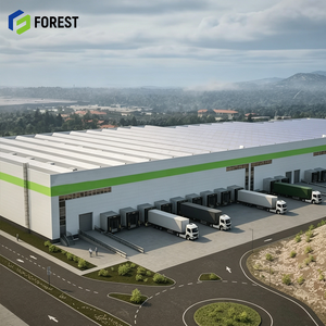 High Strength Pre Engineered Steel Industrial Warehouse Facility Wide Span Heavy Cargo Storage <b>Hub</b> Frame - Product Image 1