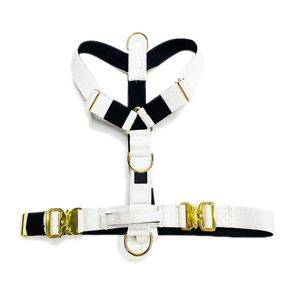 Tanpa kerah tali pengikat anjing besar kecil mewah kosong Set sublimasi cetak Bohemian H tali kekang anjing dengan Aksesori hewan peliharaan personalisasi - Product Image 2