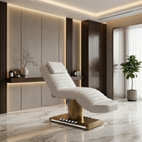 Table de massage électrique moderne pliable, lit de spa, structure en métal, revêtement en cuir PU, mobilier de salon commercial, usage domestique, hôtel