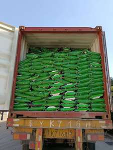 Fertilizante orgánico TE regulador de suelo microbiano de alta calidad - Product Image 6