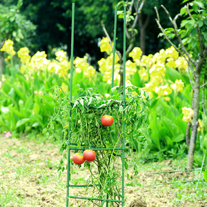 Piquets de plantes en acier robustes avec revêtement métallique en PE Fournitures de jardin pour soutenir les pots de plantes grimpantes et les serres - Product Image 3
