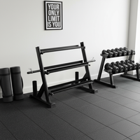 Support de rangement pliable en métal pour haltères de salle de sport à domicile, 3 niveaux, pour banc, poids libres, disques de poids, haltères, roulements, 300 kg