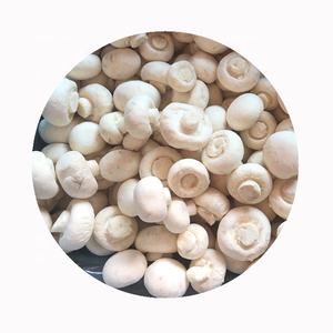 פטריית שמניון לבן גידלו פטריות טרי ובריא מעובד למחירי השוק בסגנון שמפיניון שלם - Product Image 5