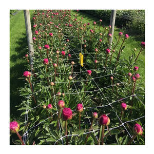 Red de enrejado de plantas de alta resistencia para jardín, Red de soporte para plantas de escalada - Product Image 2