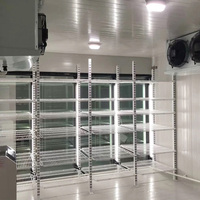 Chambre froide commerciale avec portes vitrées : Chambre froide de présentation à accès arrière pour boissons