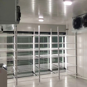 Chambre froide commerciale avec portes vitrées : Chambre froide de présentation à accès arrière pour boissons - Product Image 5