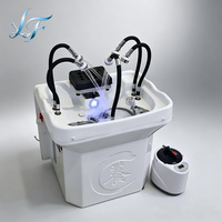 Table de spa capillaire intelligente LONGFA avec système multi-douches, réservoir 60L, lavabo de chevet, plateau à shampoing portable, bac de salon sans tuyauterie