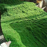Tapis de mousse artificielle vert mousseux, texture en grumeaux, pour fond de terrarium de plantes succulentes, décoration murale, couverture de bonsaï