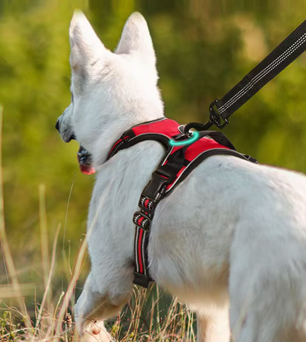 Luxury Long Dog Harness Luxury Custom Dog Harness Set For Big Dogs - Main Image