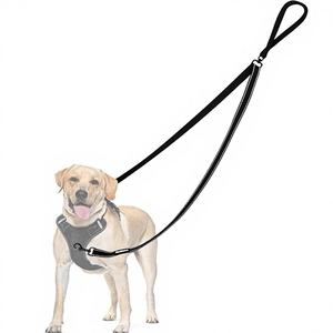 Laisse pour oiseaux Petbonus à double point de contrôle, harnais anti-traction, laisses d'entraînement anti-emmêlement, rembourrées et réfléchissantes, en métal pour la promenade - Product Image 1