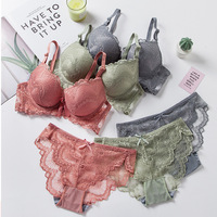 Ensemble de lingerie grande taille en dentelle, demi-bonnet, bretelles convertibles, soutien-gorge push-up à armatures et culotte sexy pour adultes, populaire en Europe et en Amérique