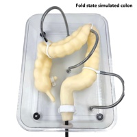 Modèle de colon modèle de formation à la coloscopie modèle de Simulation de coloscopie réaliste douce formation en soins infirmiers éducation en sciences médicales
