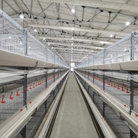Cage à volailles personnalisable, cage à batterie de type H pour poulets de chair, à prix avantageux