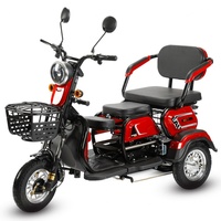 Tricycle électrique pas cher à trois roues avec pneus larges de 8 pouces, scooter électrique deux places à carrosserie ouverte, tension 48V