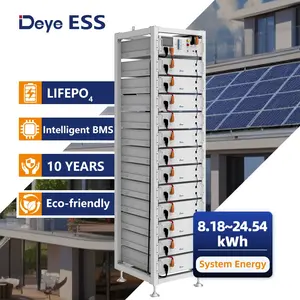 Deye ESS 2024 nuovo elenco BOS-G 100Ah home sistema di accumulo di batterie agli ioni di ioni per l'energia solare