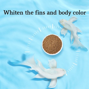 Alimento Flotante para Peces <span class=keywords><strong>Hikari</strong></span> Ranchu Lionhead de 1.5mm, Venta al por Mayor de Fábrica YEE - Product Image 2