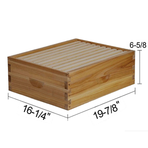 Kit de démarrage pour apiculteurs : Ruche à 10 cadres et fournitures, Ruche en cire d'abeille 100% naturelle - Product Image 3