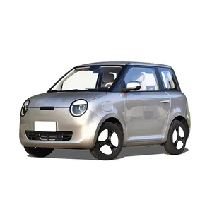 2024 China Manufacturer Cheap Adult Small Electric Cars Right Hand Drive Mini Car for Sale Europe