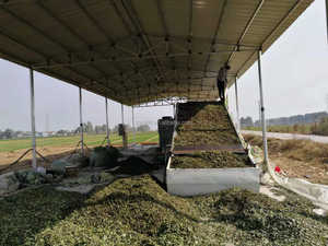 Boules de séchage à bande de charbon de bois continues multifonctionnelles Briquette Shisha Hookah Food Processing Line Core Components Pump - Product Image 6