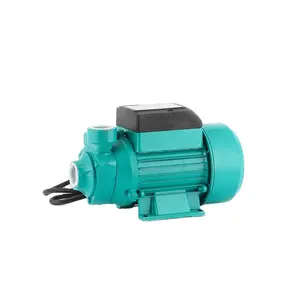 DC 24V Single Stage Self-Priming Water Pump QB60 Copper Impeller Low Pressure Type Small Solar Floor Pumps Clean Water