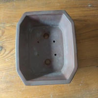 Pots à Bonsaï Yixing Peints à la Main les Plus Vendus en Argile Chinoise Moderne